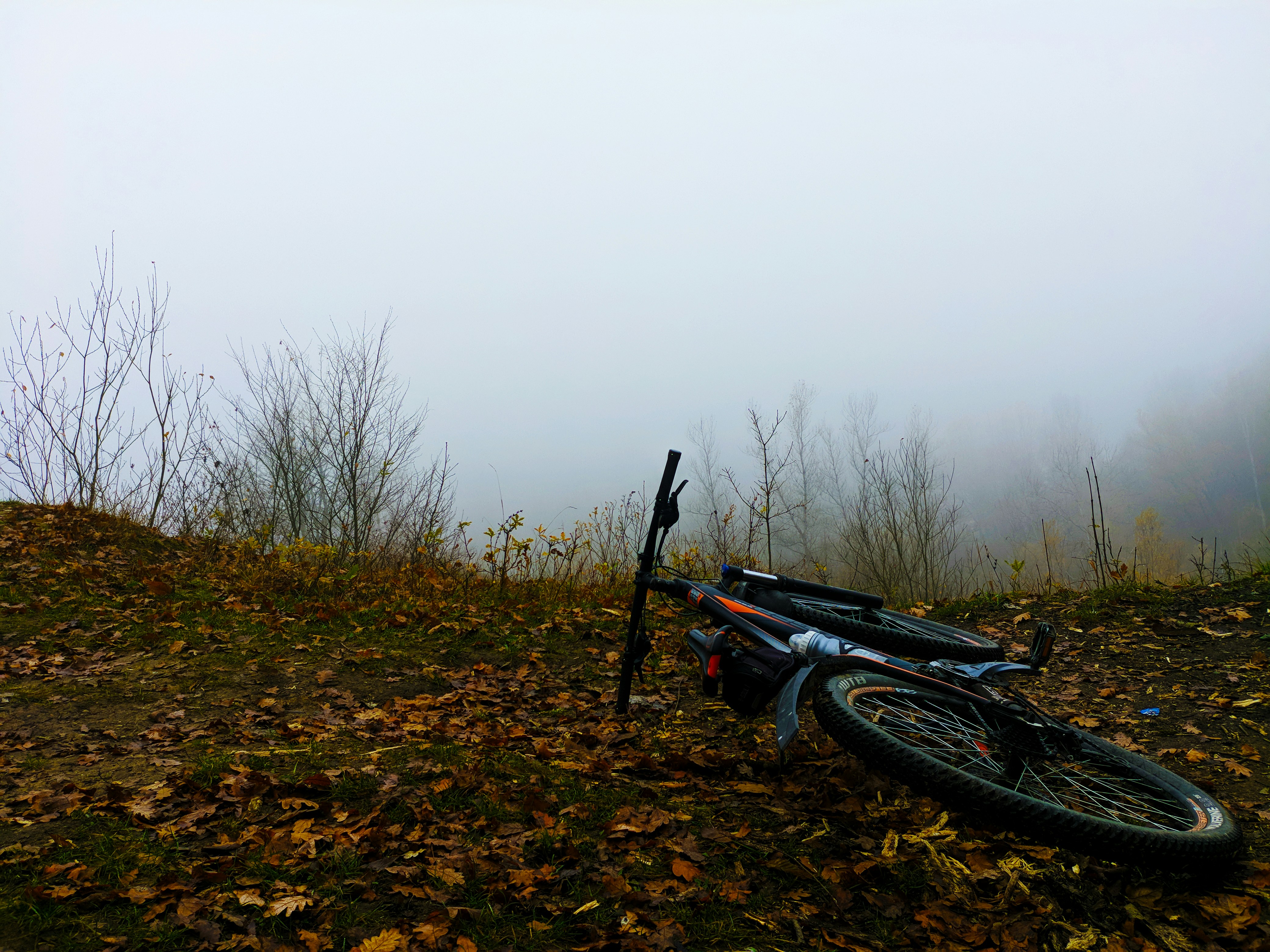 bicicleta estacionada em gramados