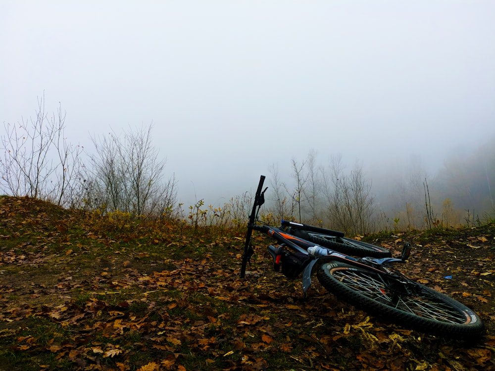 Bicicleta aparcada sobre la hierba