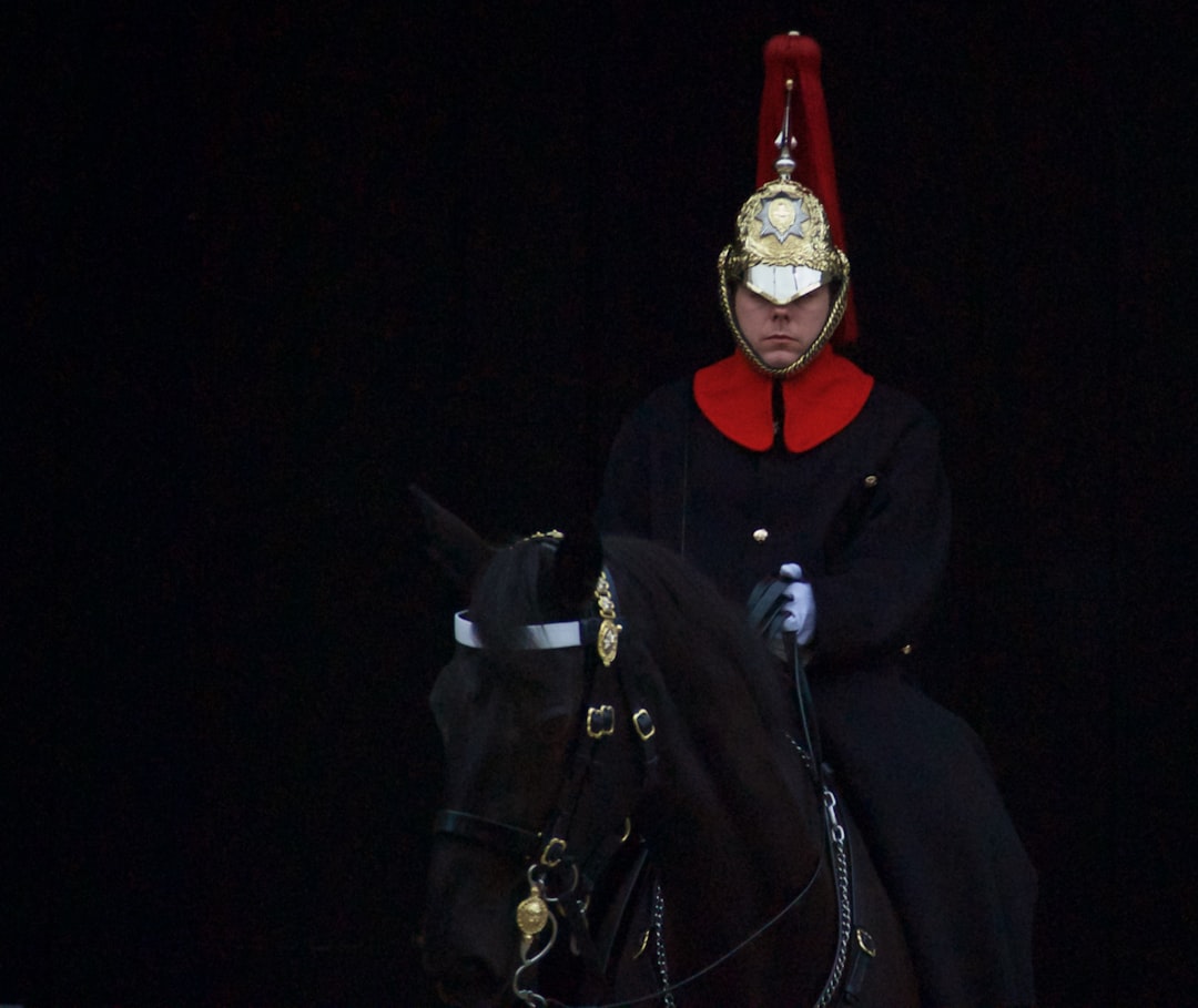 man riding on black horse