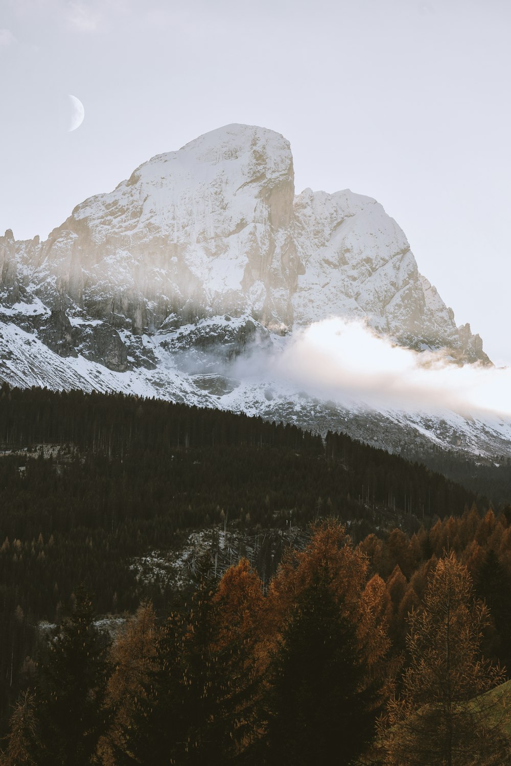 a snow covered mountain with trees in the foreground