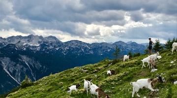 Velenje Slovenien