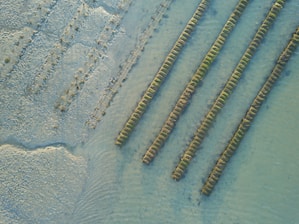white and brown beach sand