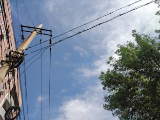 A Teleus Internet technician installing phone lines outside a suburban Canadian house on a bright day.