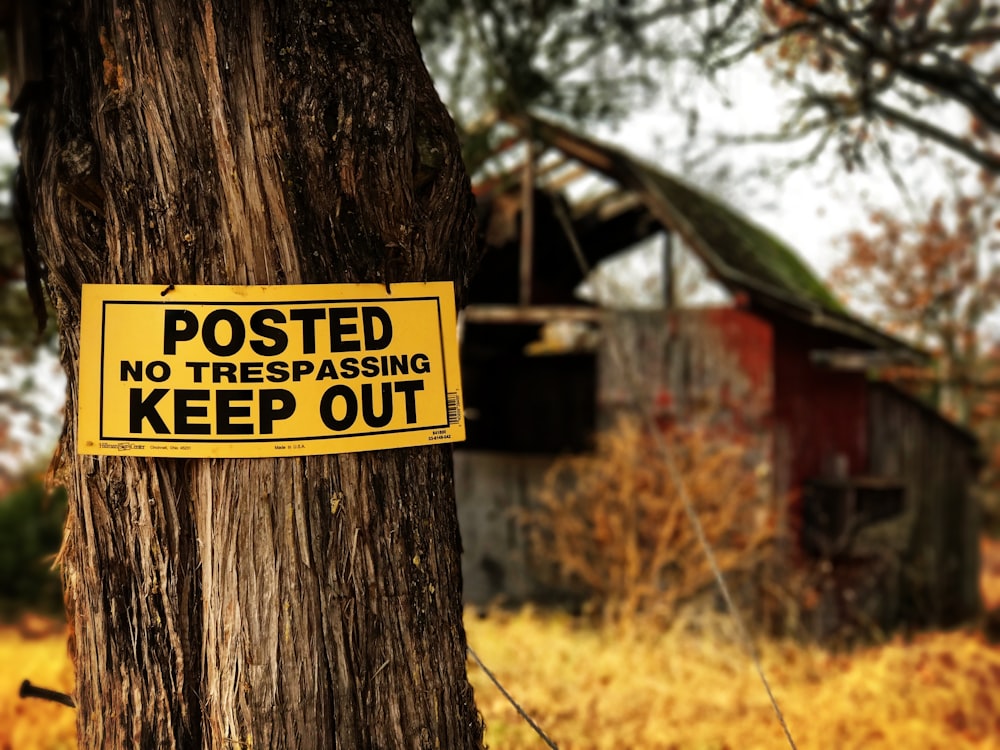 Posted No Trespassing Keep Out signage on tree at daytime