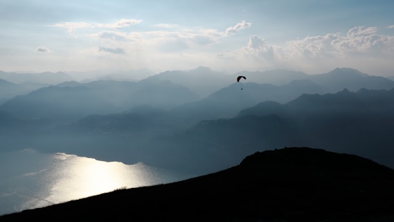 a bird flying over a large body of water