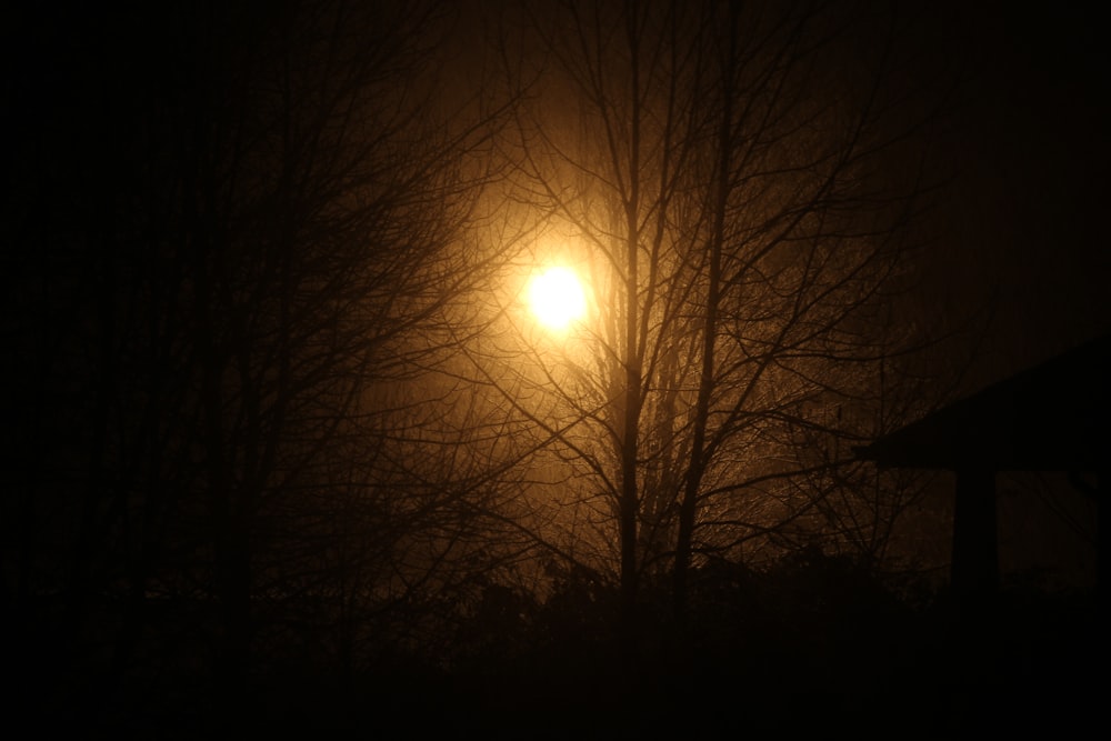 Una noche de niebla con una farola en la distancia