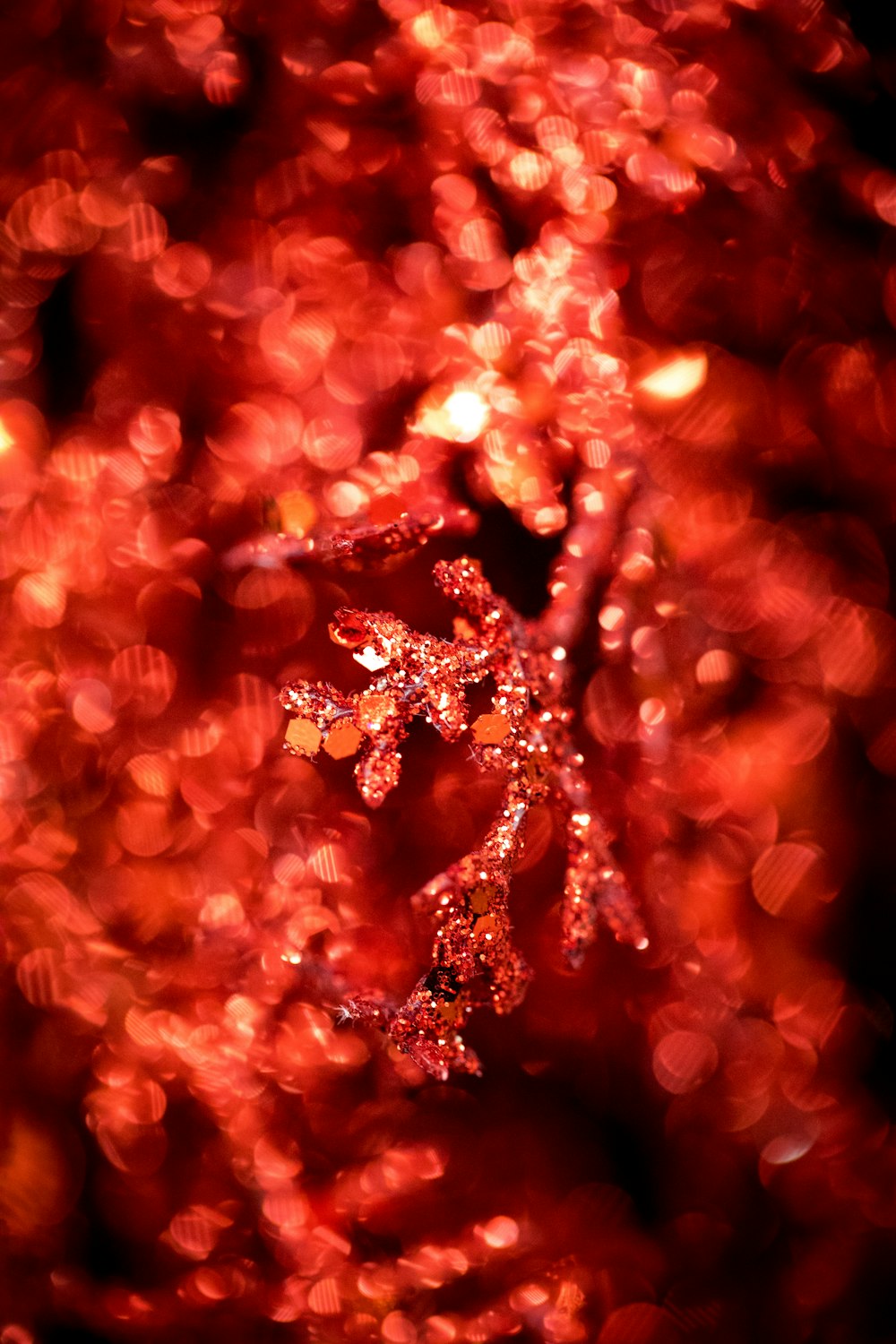 closeup photography of red flower