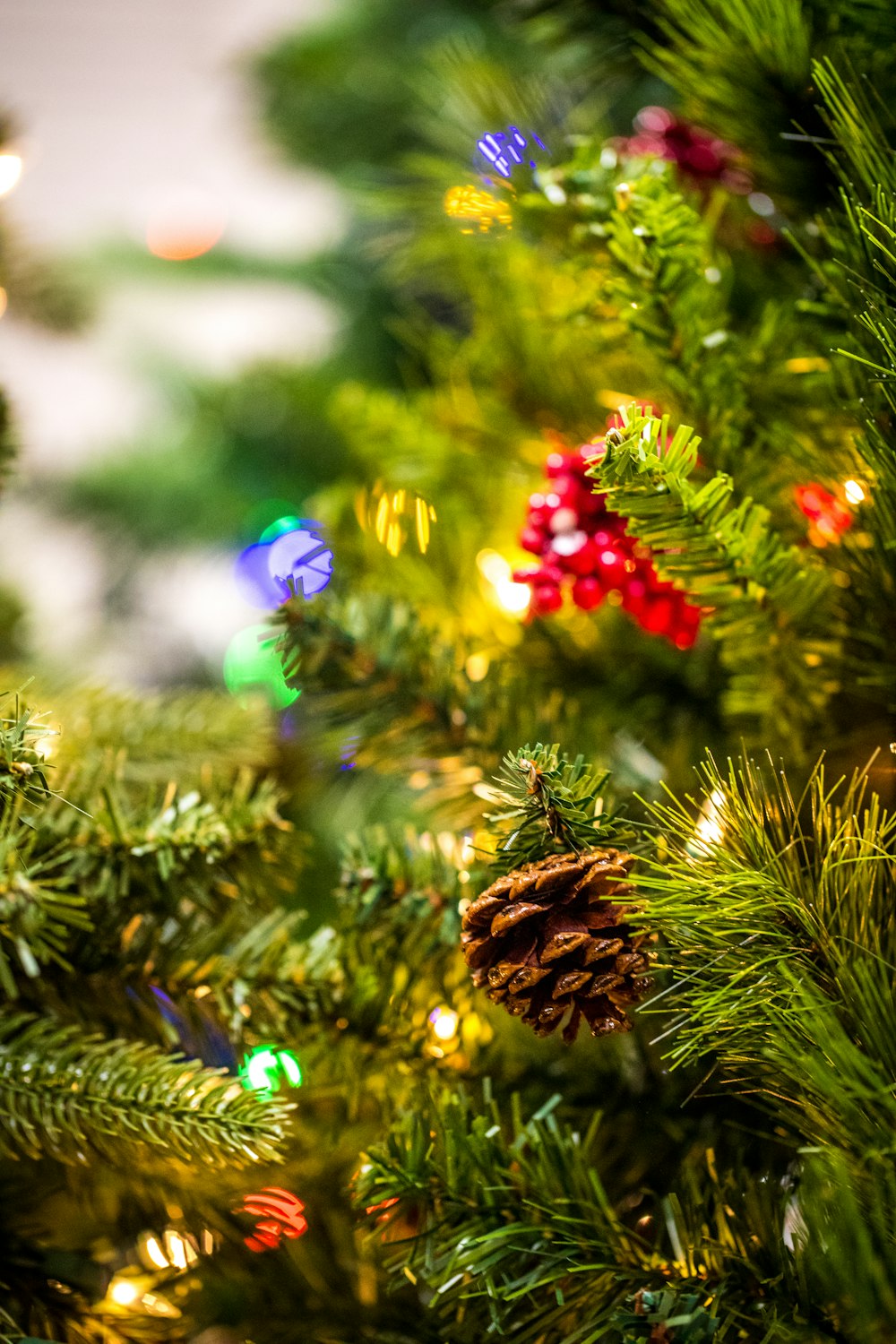 selective focus photography of pinecone and flower ornaments attached on tree