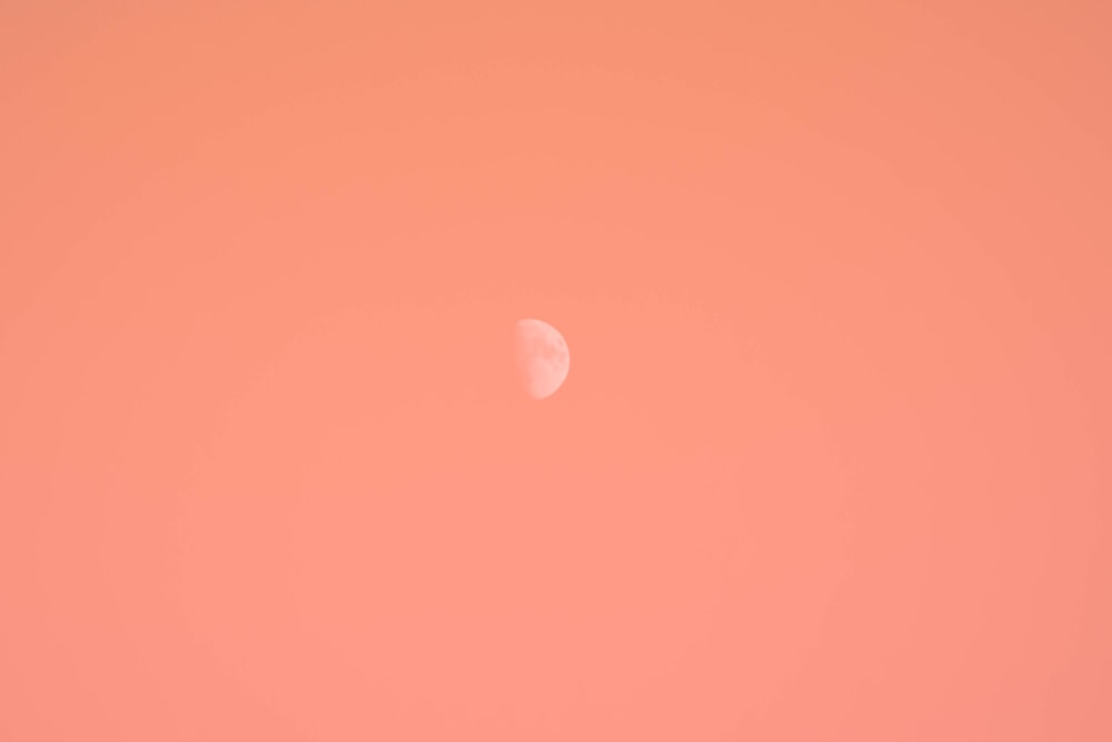 a plane flying in the sky with the moon in the background