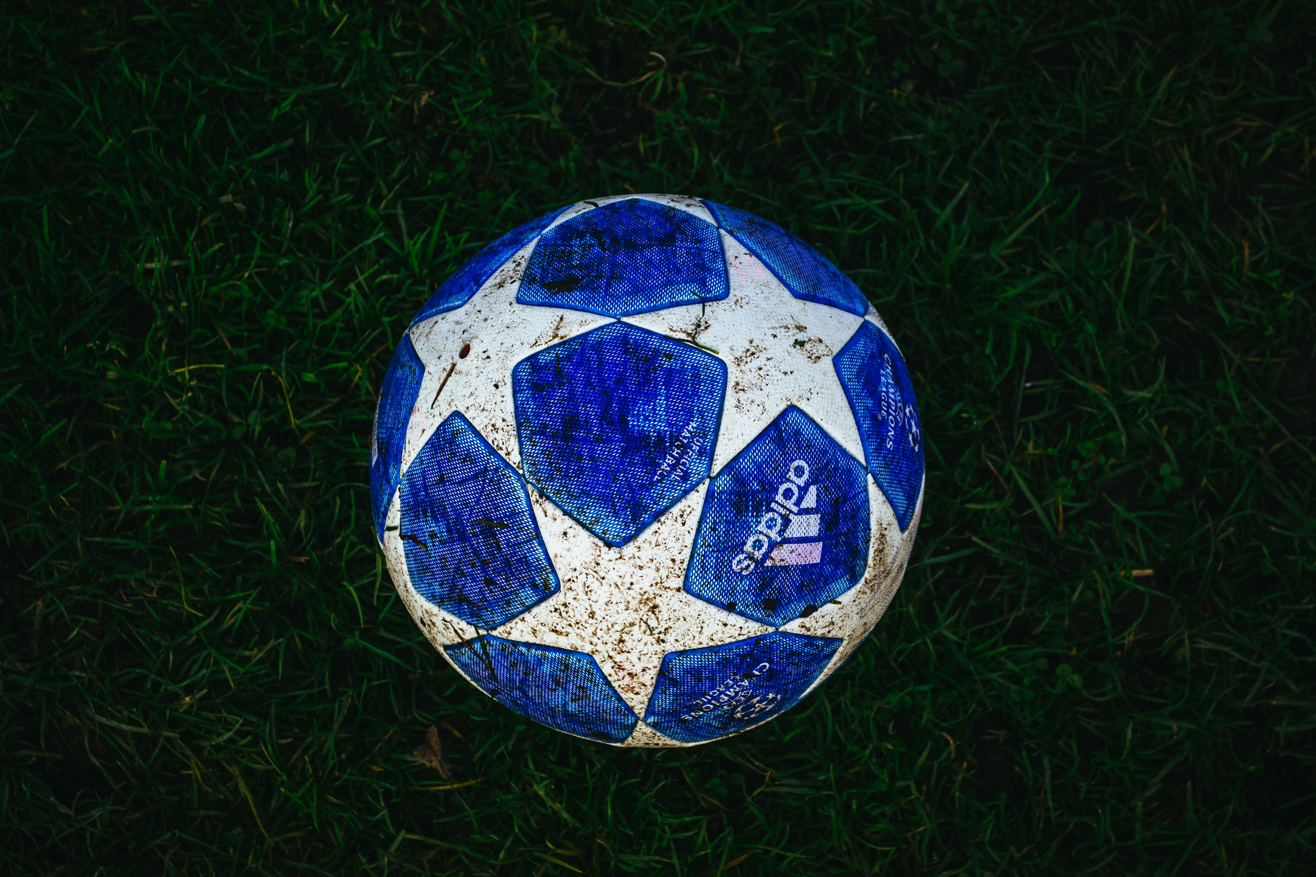 blue and white star print soccer ball on grass