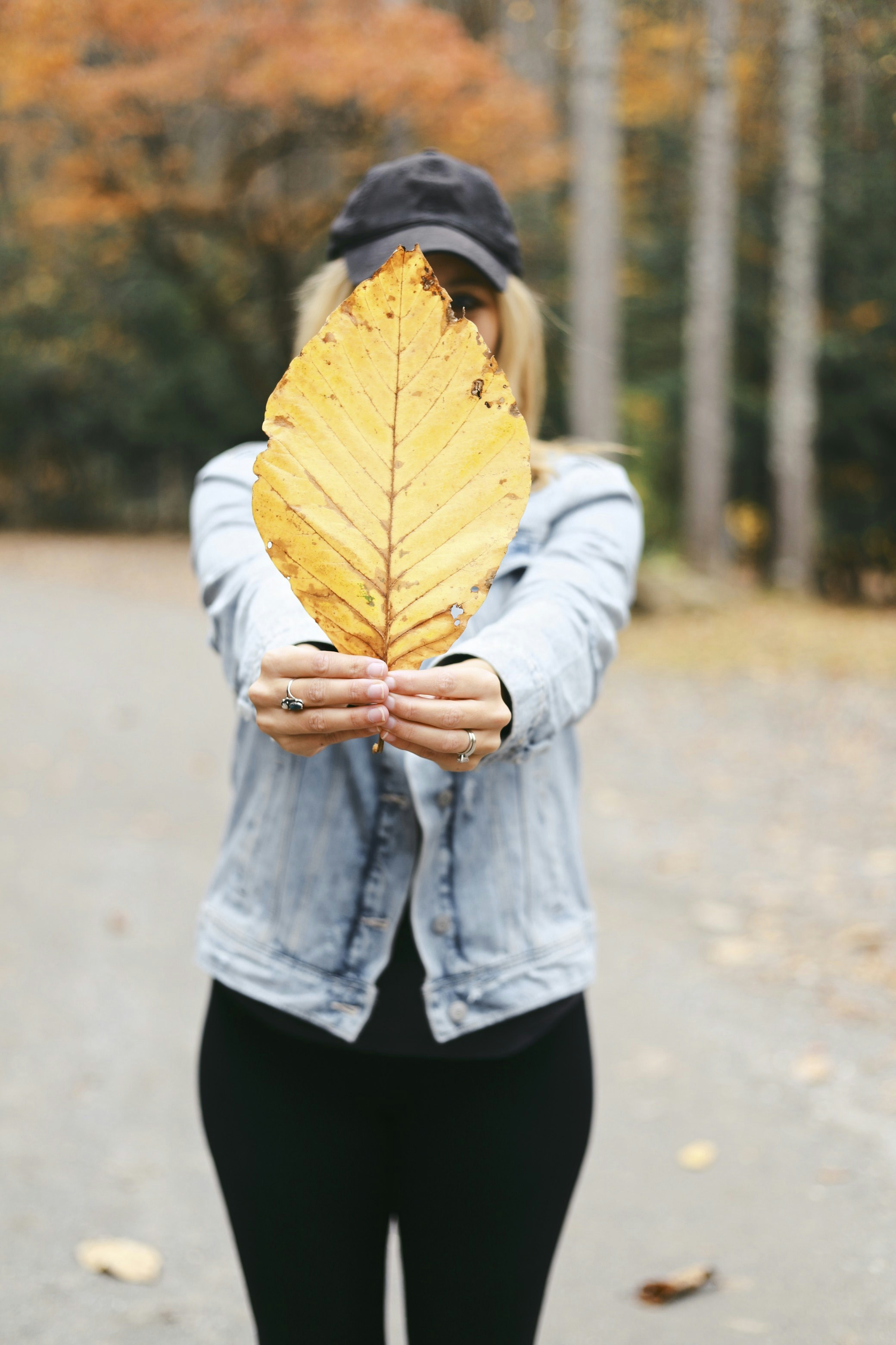 Photo by amyjoyhumphries