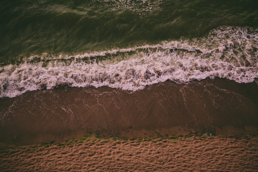 aerial photography of seashore