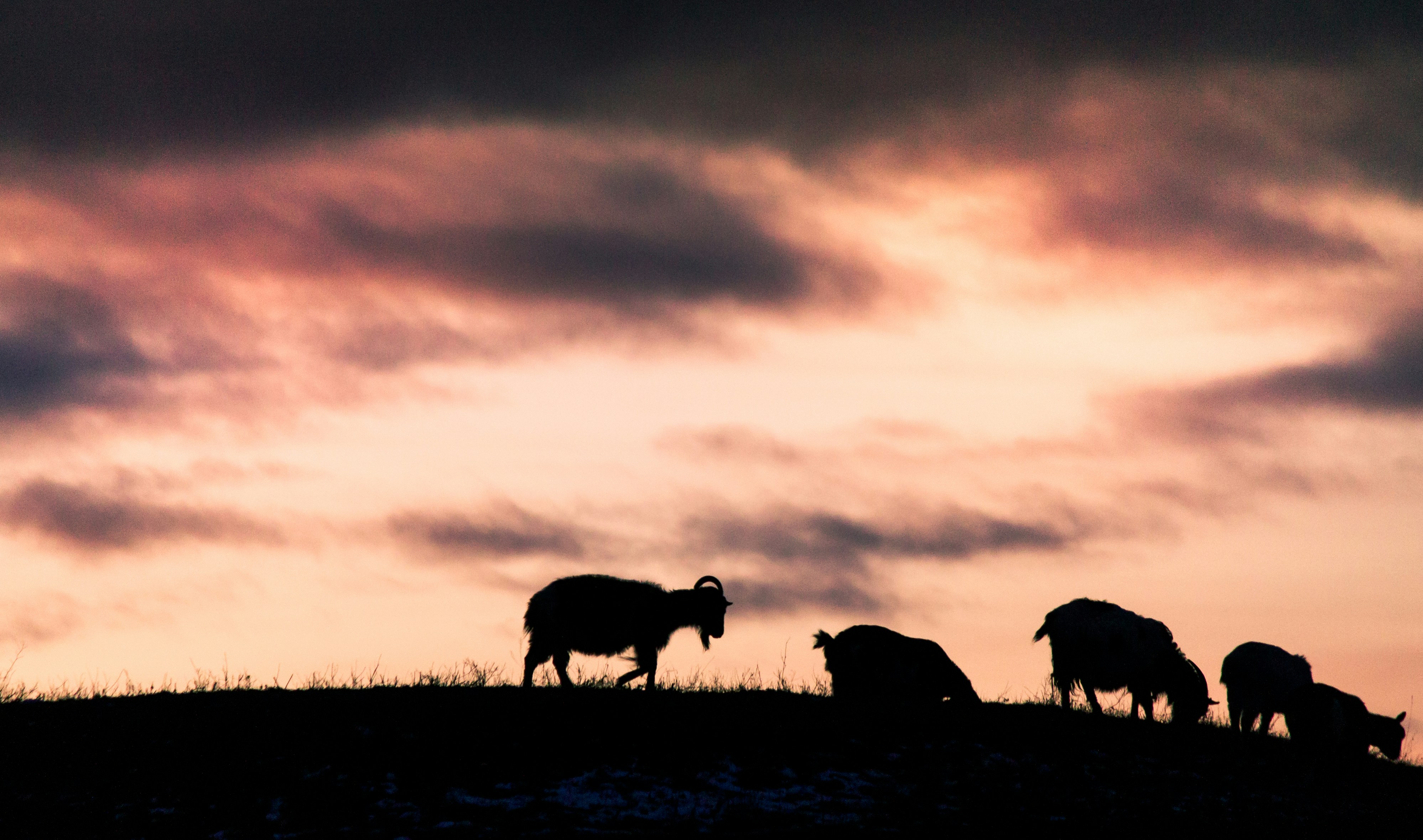 Photo by alexkurchev