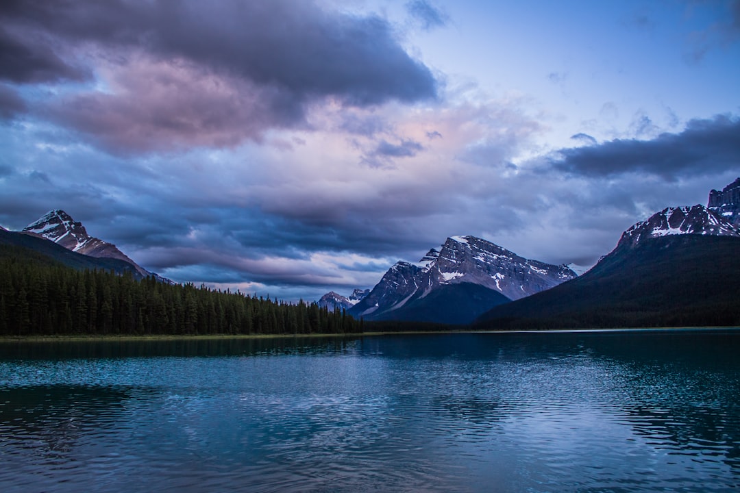 lakes surrounded by trees an mountains