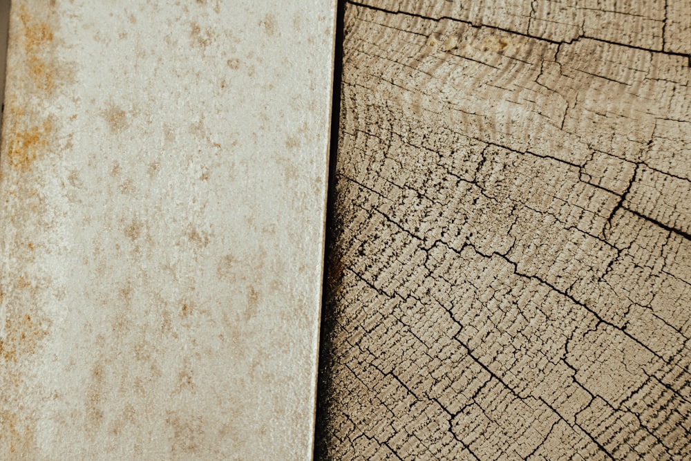a close up of an elephant's skin and a piece of wood
