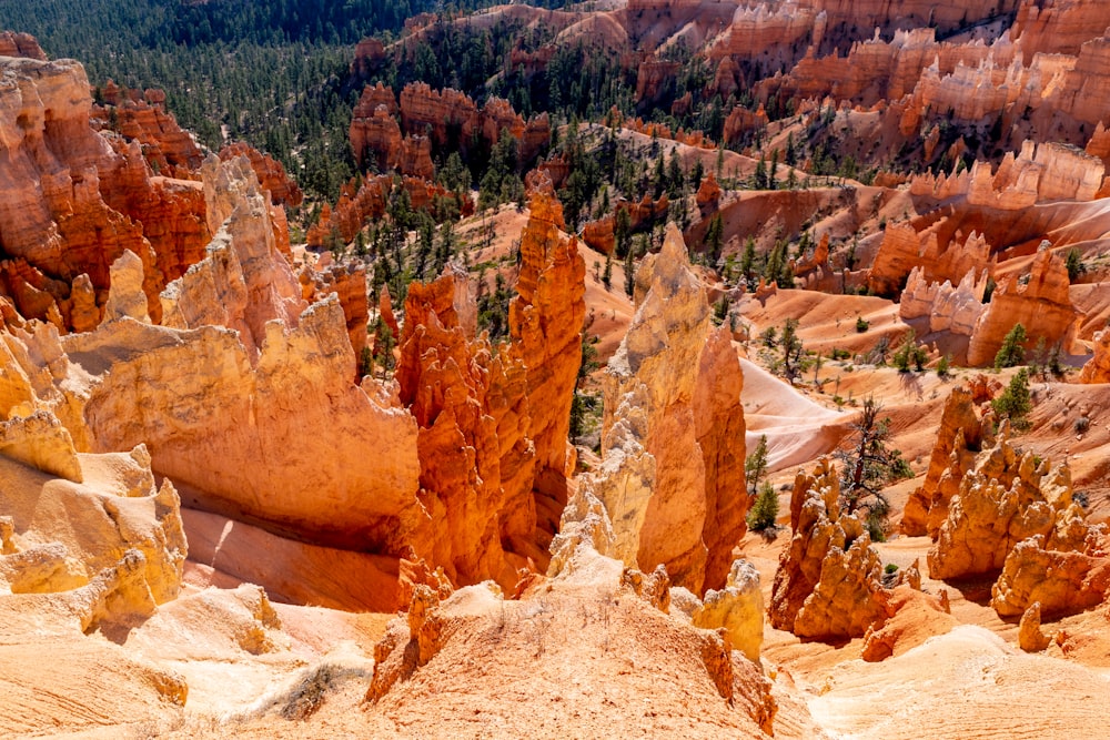 Fotografía de las Montañas Rocosas