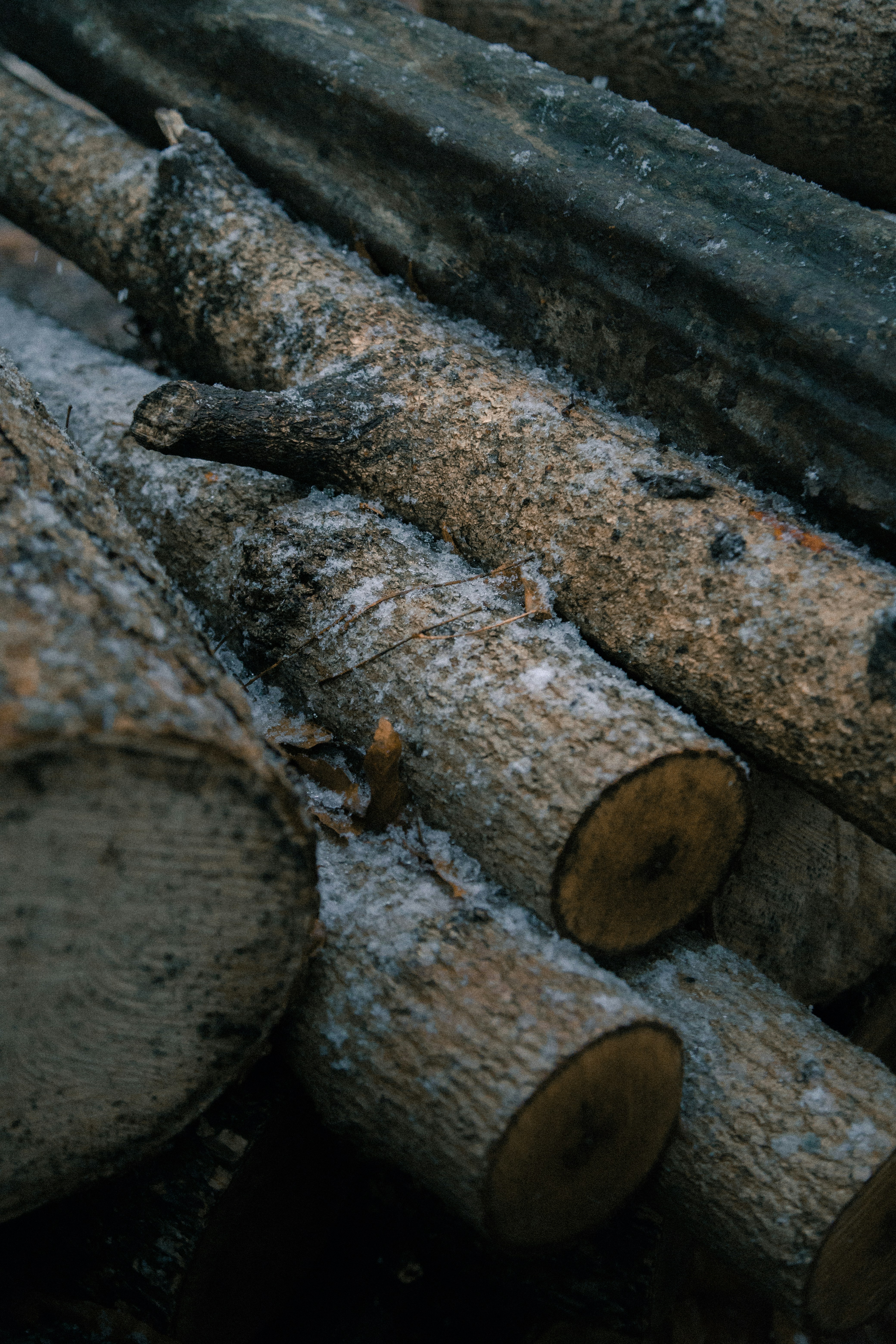 Photo by jakobowens1