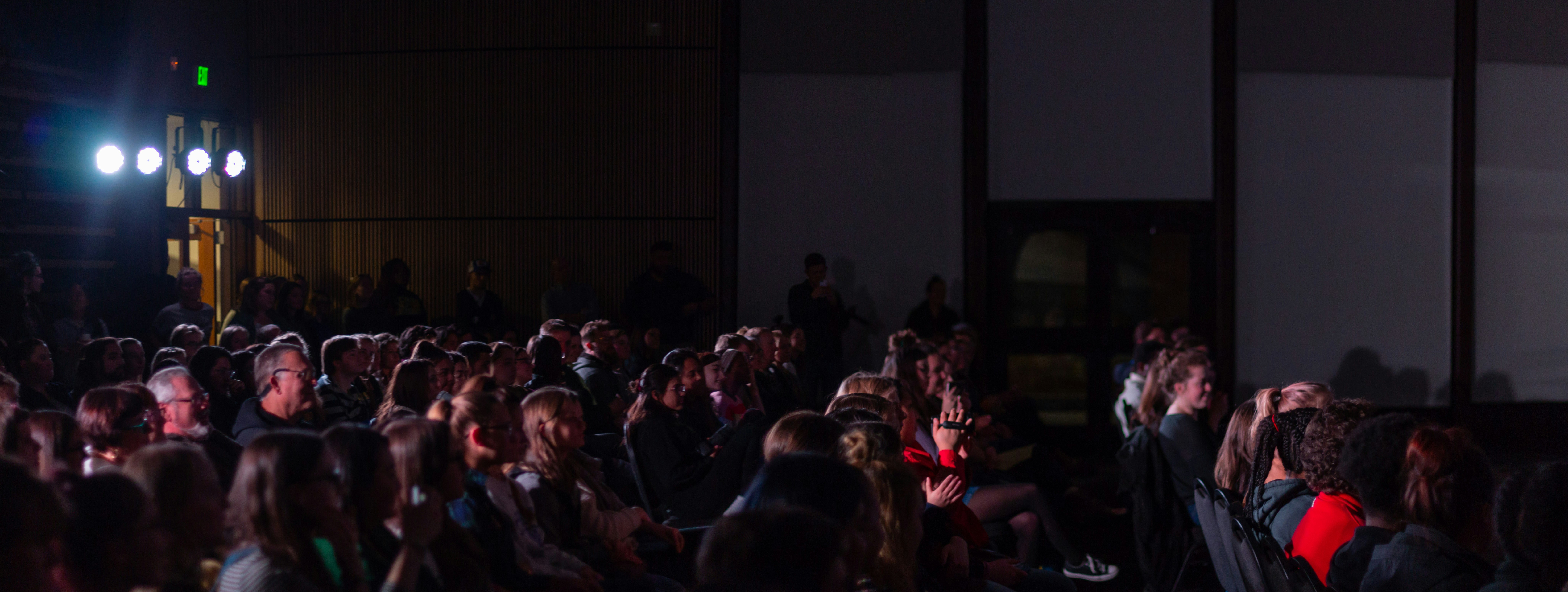 Why Flat Organizations Eventually Create Shadow Hierarchies