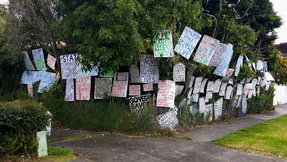 posters on trees near road