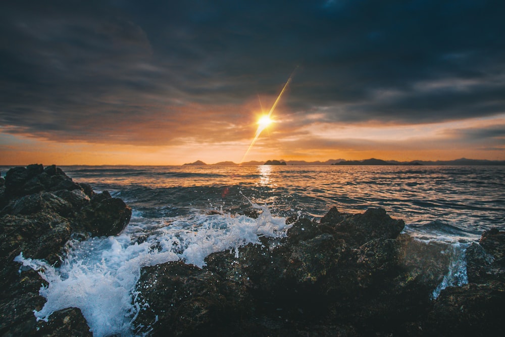 seashore during golden hour