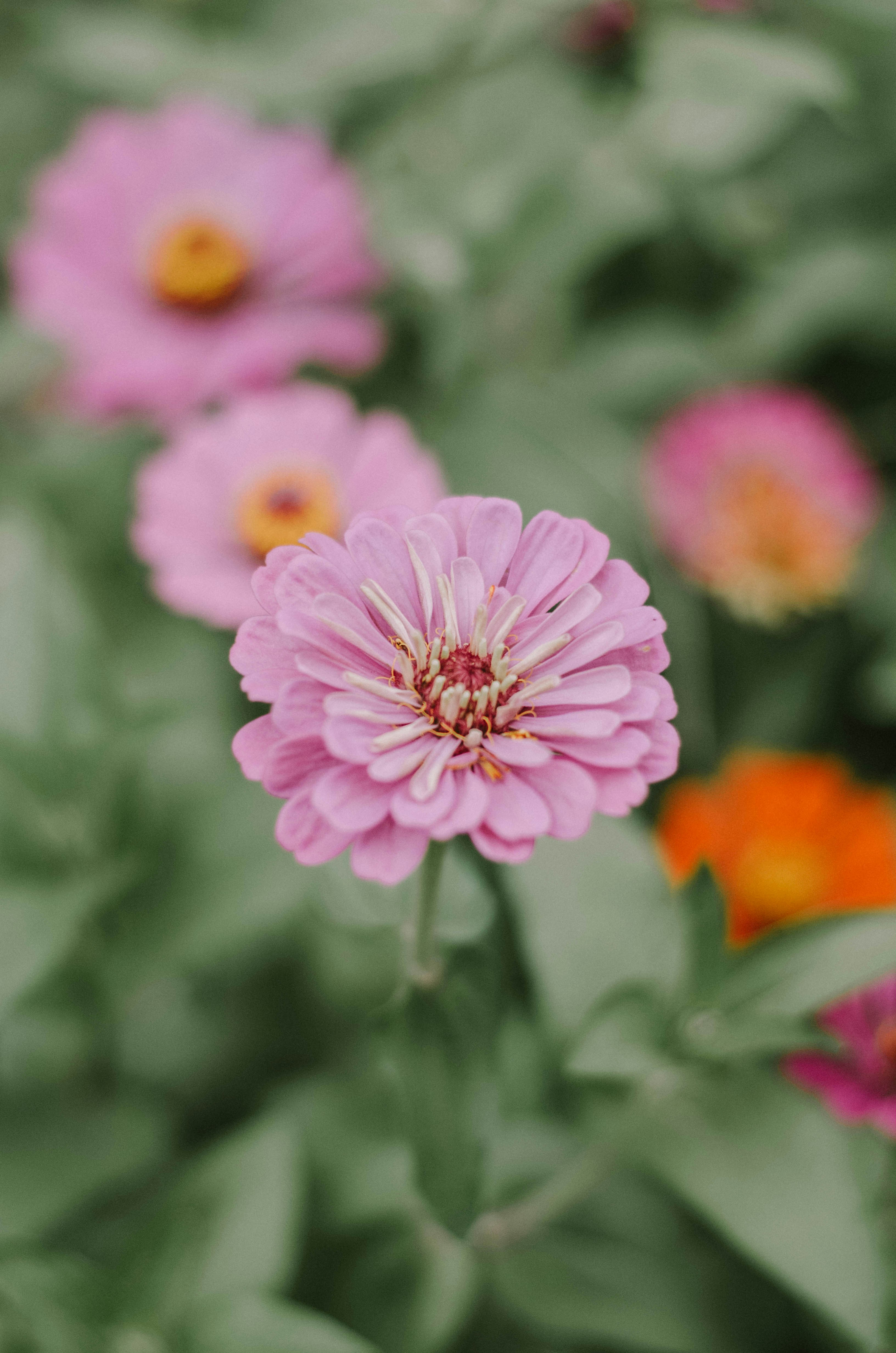 Photo by benignohoyuela