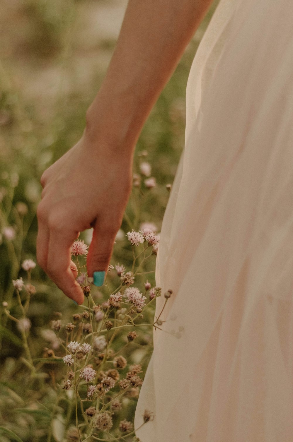 white baby's breath flower