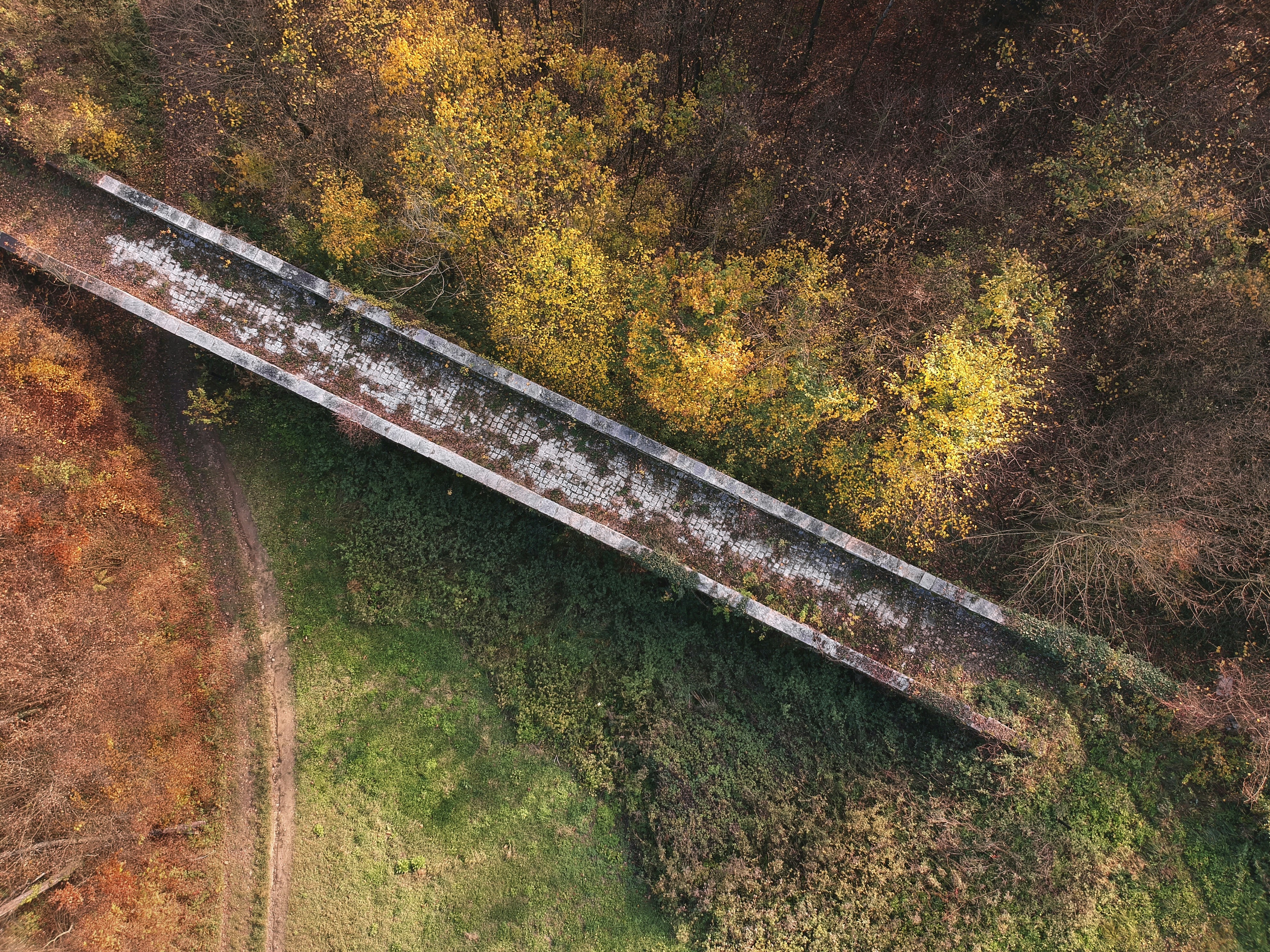 Photo by michael_hacker