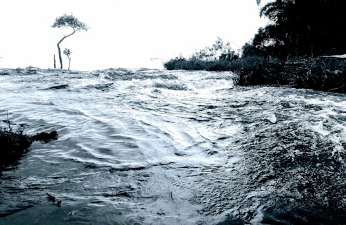 A dynamic scene of a flowing river with visible ripples and small waves. The background features a solitary tree with a twisted trunk and sparse branches, set against a bright sky. On the right side, dark silhouettes of foliage and shrubs create a contrasting backdrop.