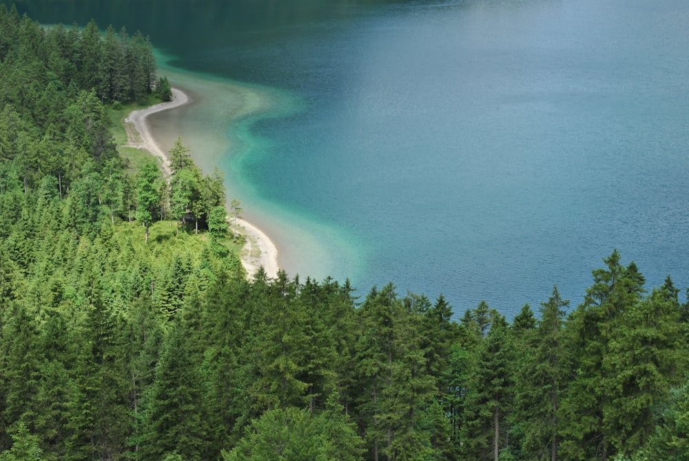 bird's-eye view photography of seashore