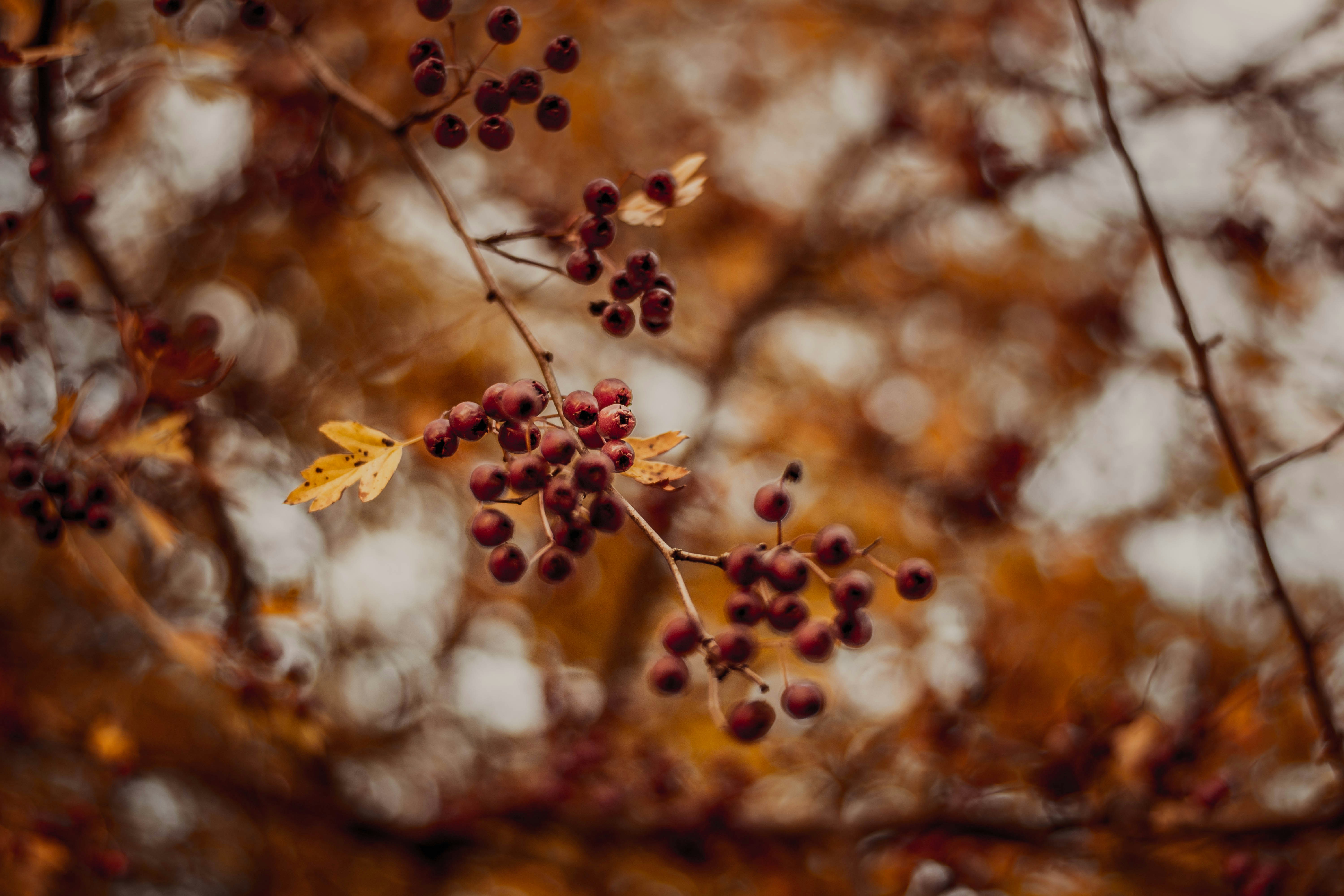 Photo by rani33