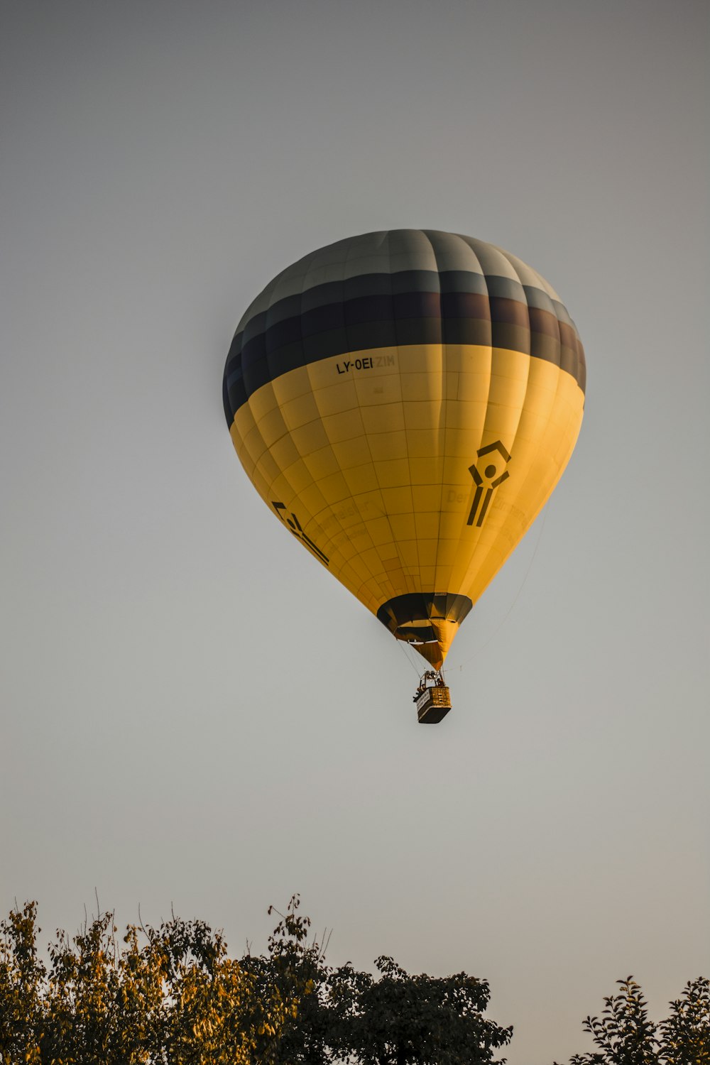 Vuelo en globo aerostático amarillo y marrón