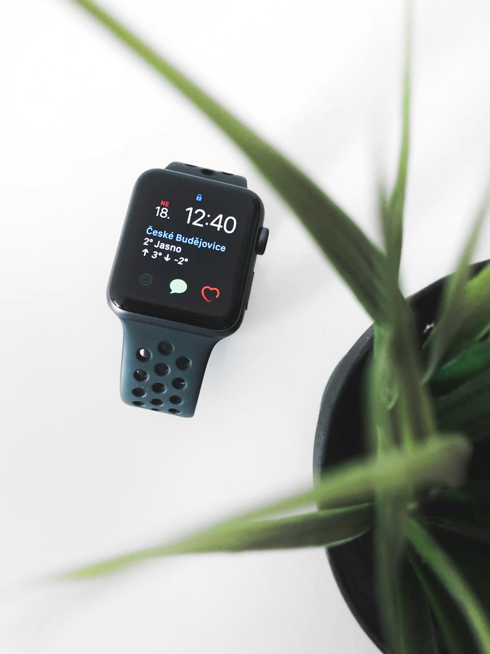 space gray aluminum case Apple Watch near plant