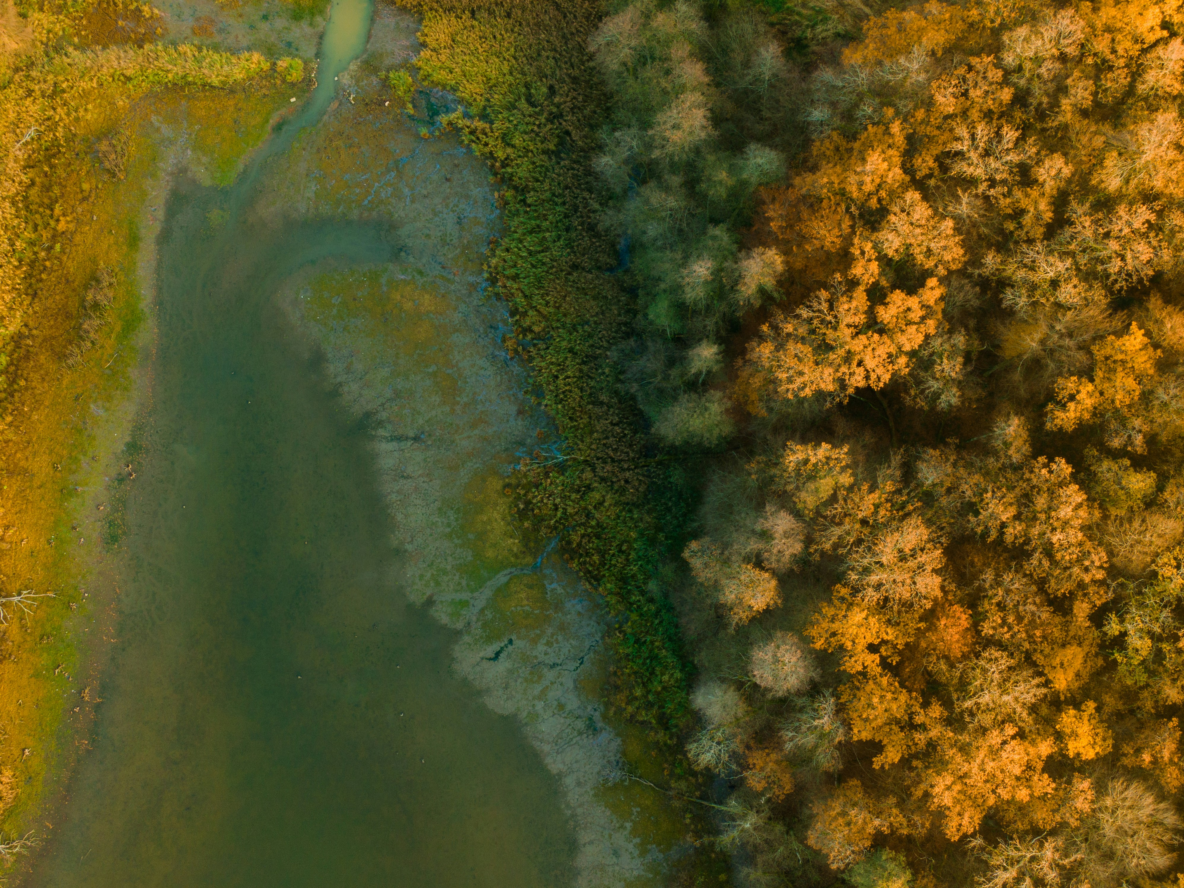 Photo by nathan030997