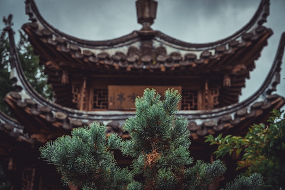 緑の葉の木の近くの茶色の寺院