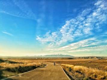 A winding road stretches into the distance through a vast, open landscape with dry grass on either side. In the background, snow-capped mountains rise against a clear blue sky scattered with wispy clouds. A solitary motorcyclist rides along the road, adding a sense of adventure and exploration to the scene.