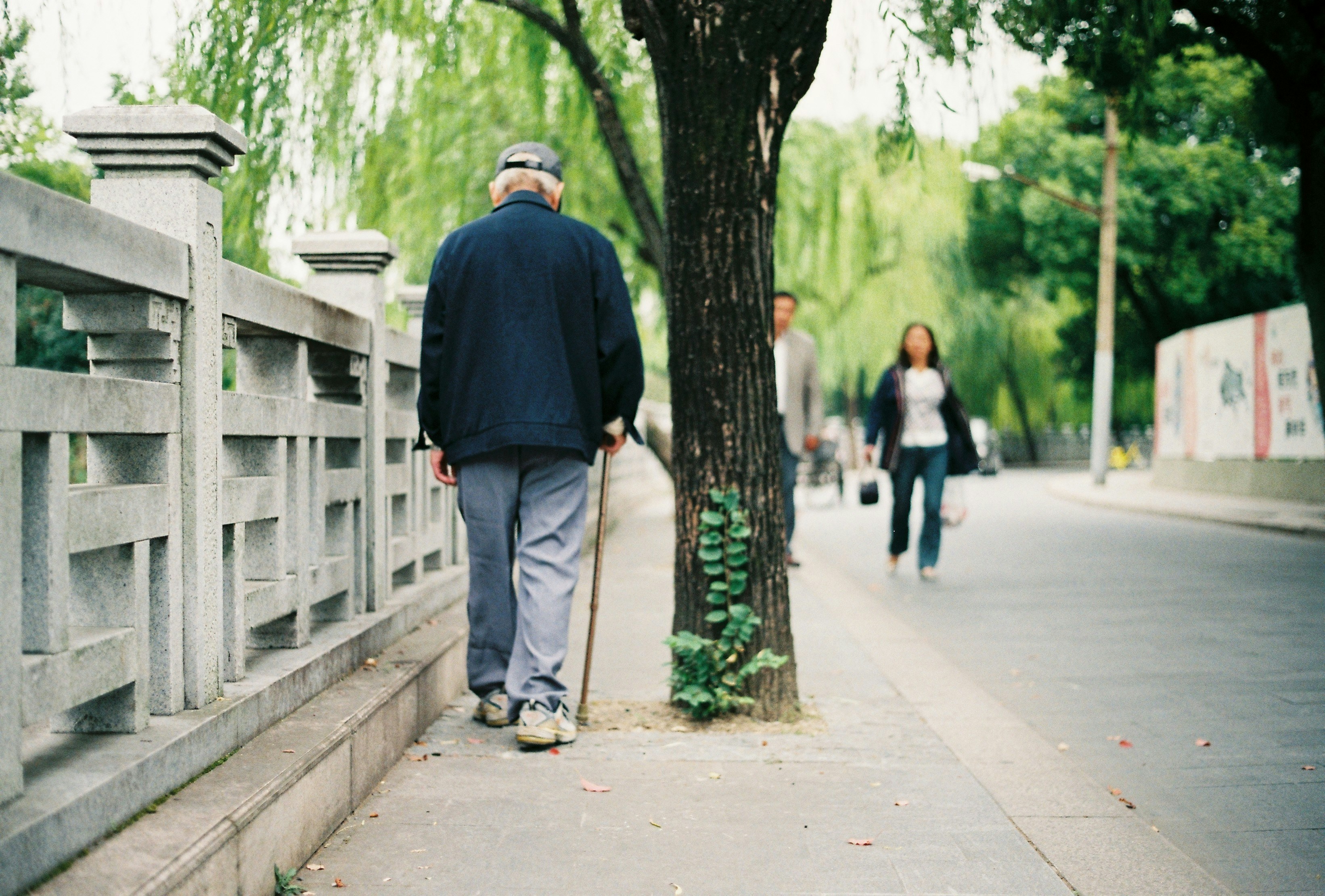 Helping Without Taking Over, The Benefits of Walking for Older Adults, and Smart Investments for Seniors