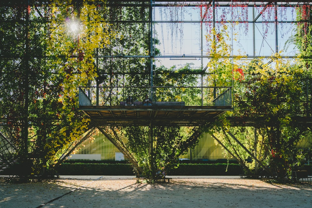 a building with a bunch of plants growing on it