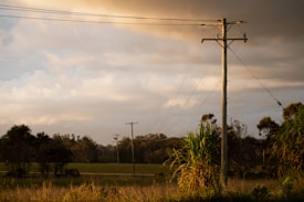 A utility pole stands in a rural landscape with several wires stretching across the scene. The sky is partly cloudy, and the lighting suggests a late afternoon with a golden hue cast over the grassy field. Trees and bushes are scattered across the background and foreground, adding depth to the scene.