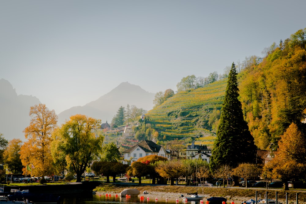 view of mountain during daytime