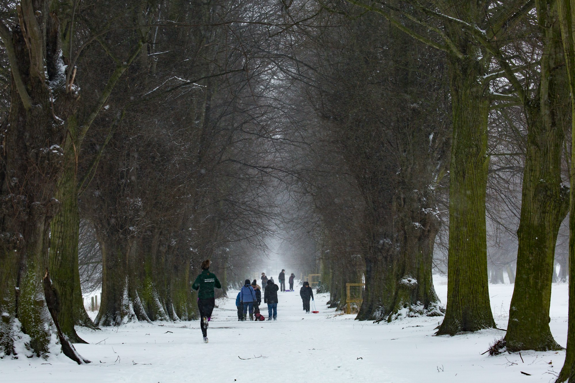 A man running through the park in the winter