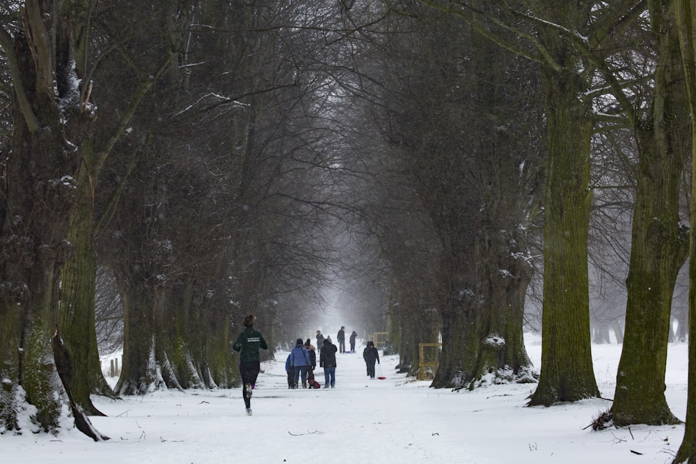 people walking on icy surface