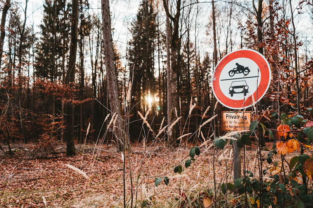 round and white red signage on forest