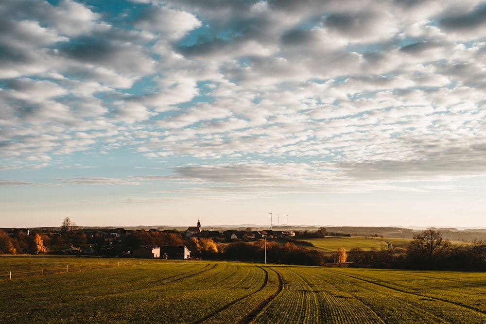 green field under white skies