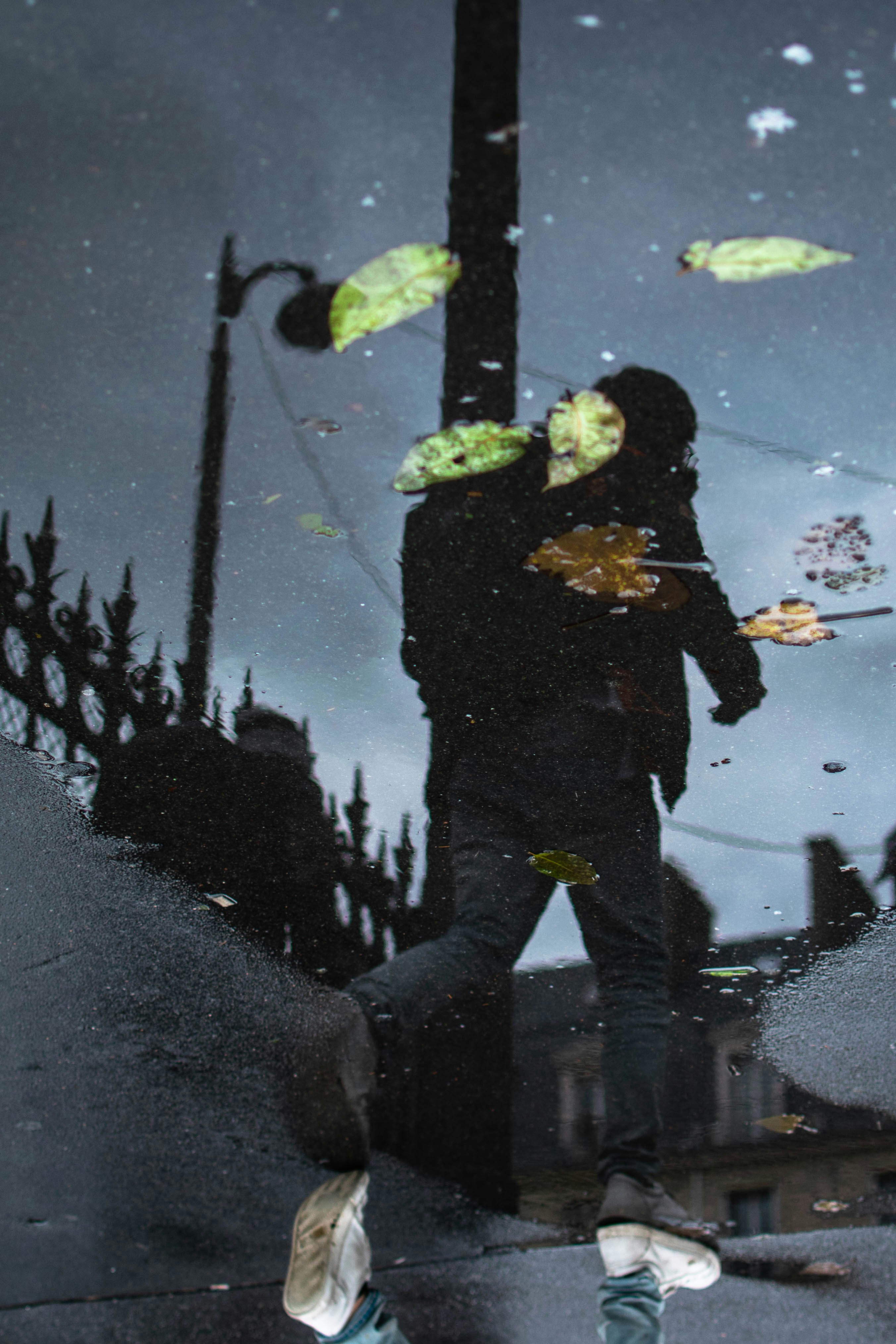 אבא טס עם לווייתן | יובל דותן