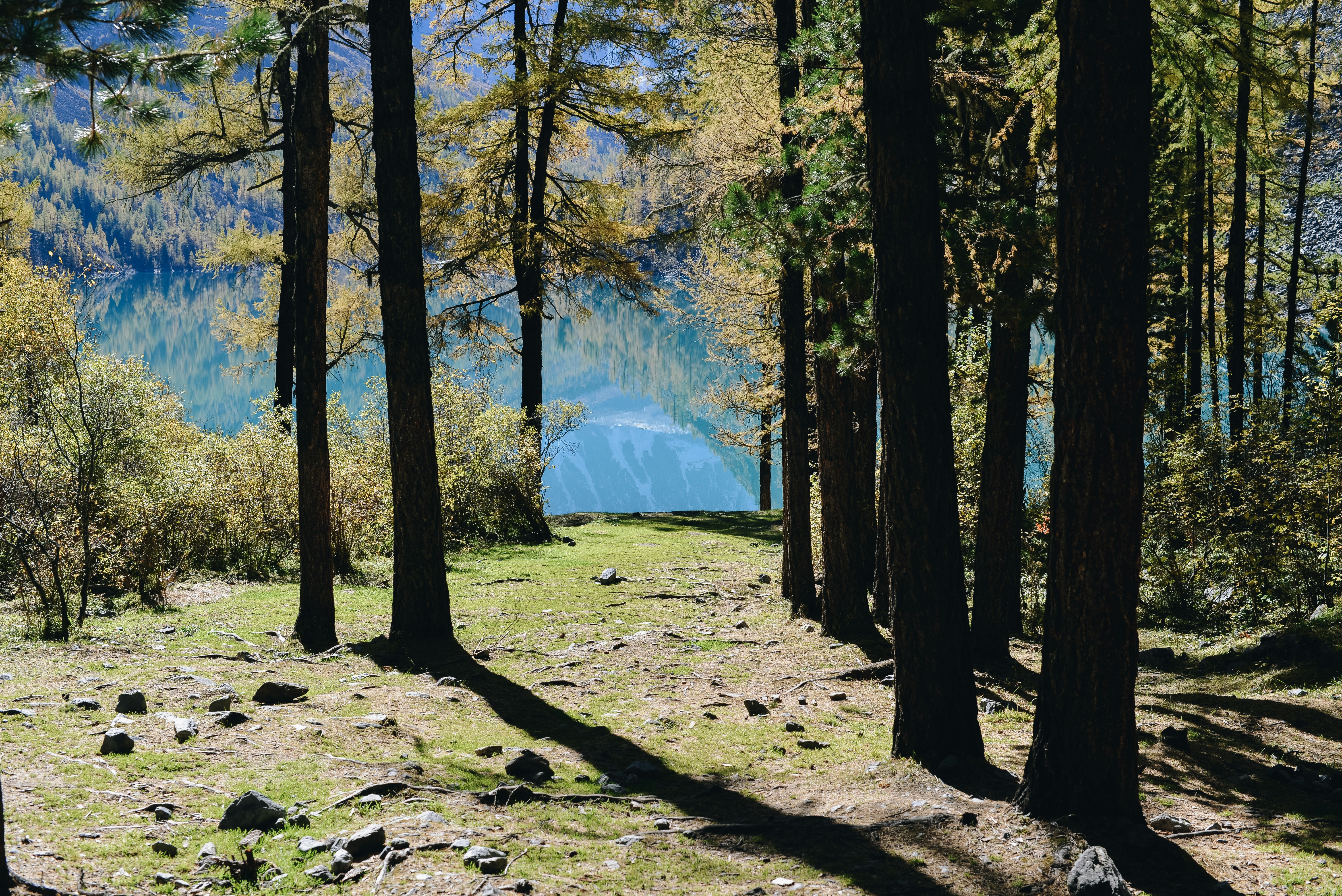 Lugar para acampar agreste con agua