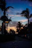 A calm evening scene of pilgrims walking quietly along a pathway lined with palm trees.