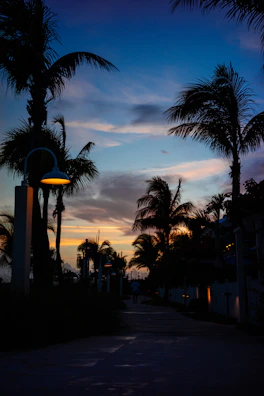 A calm evening scene of pilgrims walking quietly along a pathway lined with palm trees.
