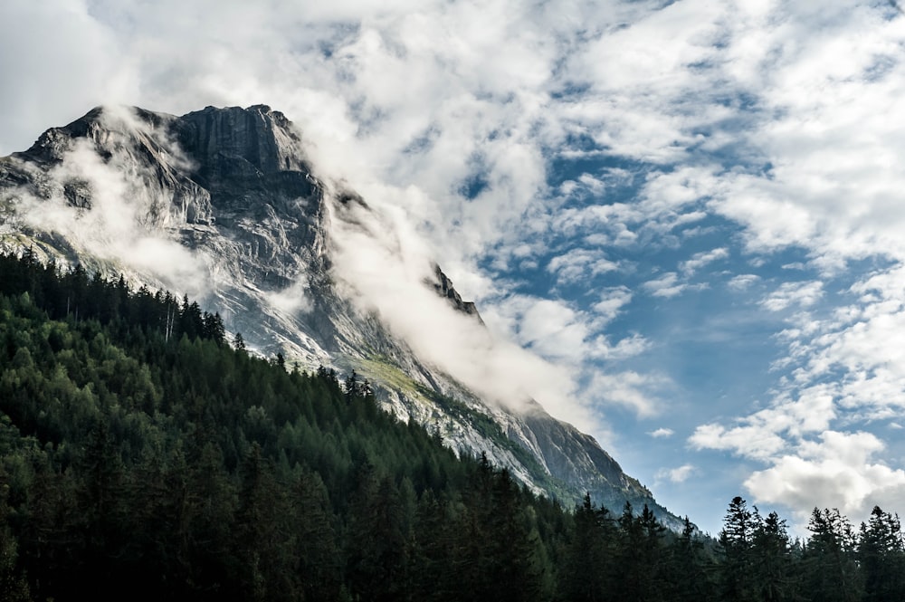 mountain with trees under blue and white sky