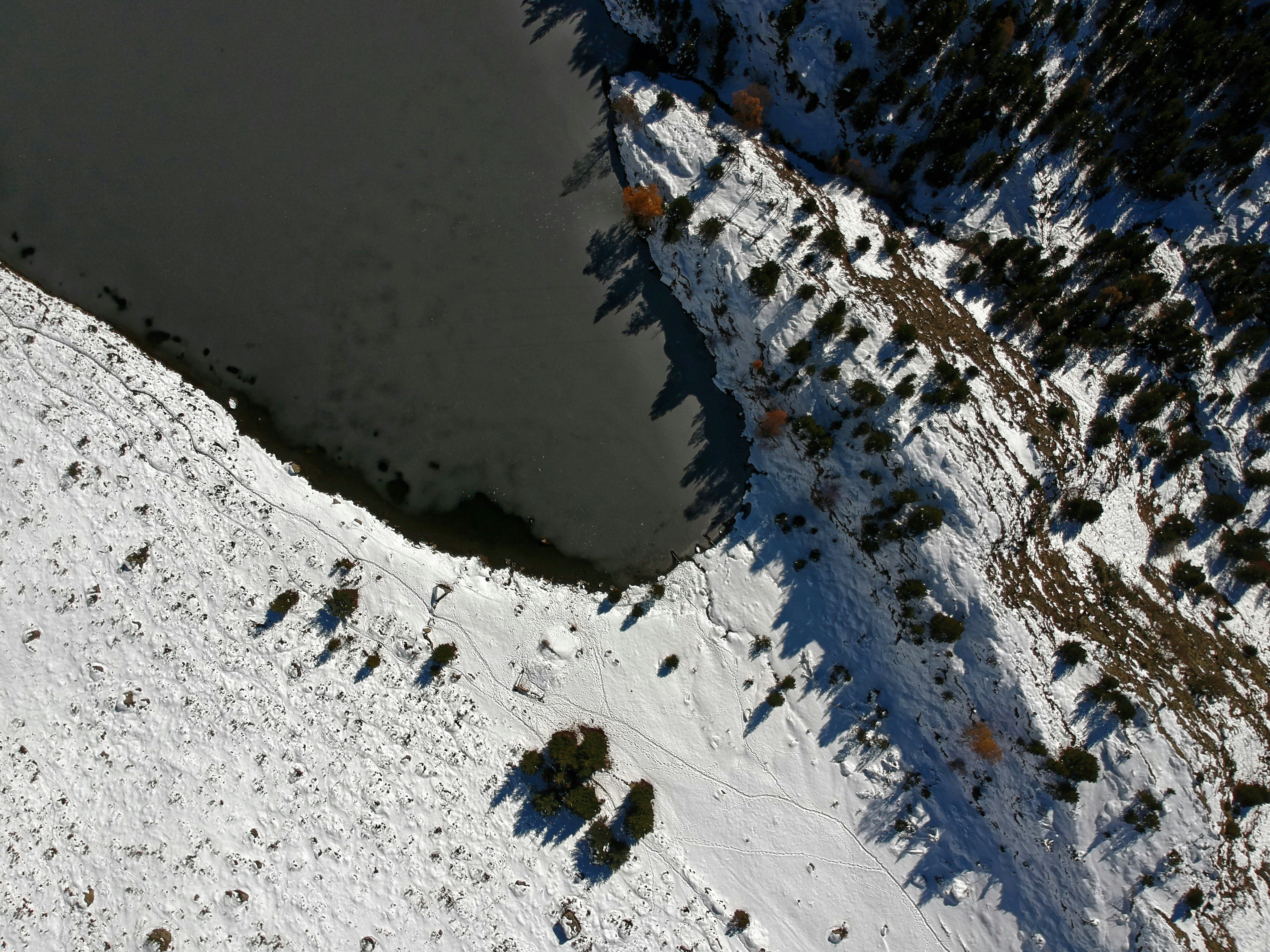 photo-1542561318-6db89061338e?ixlib=rb-4.0.3