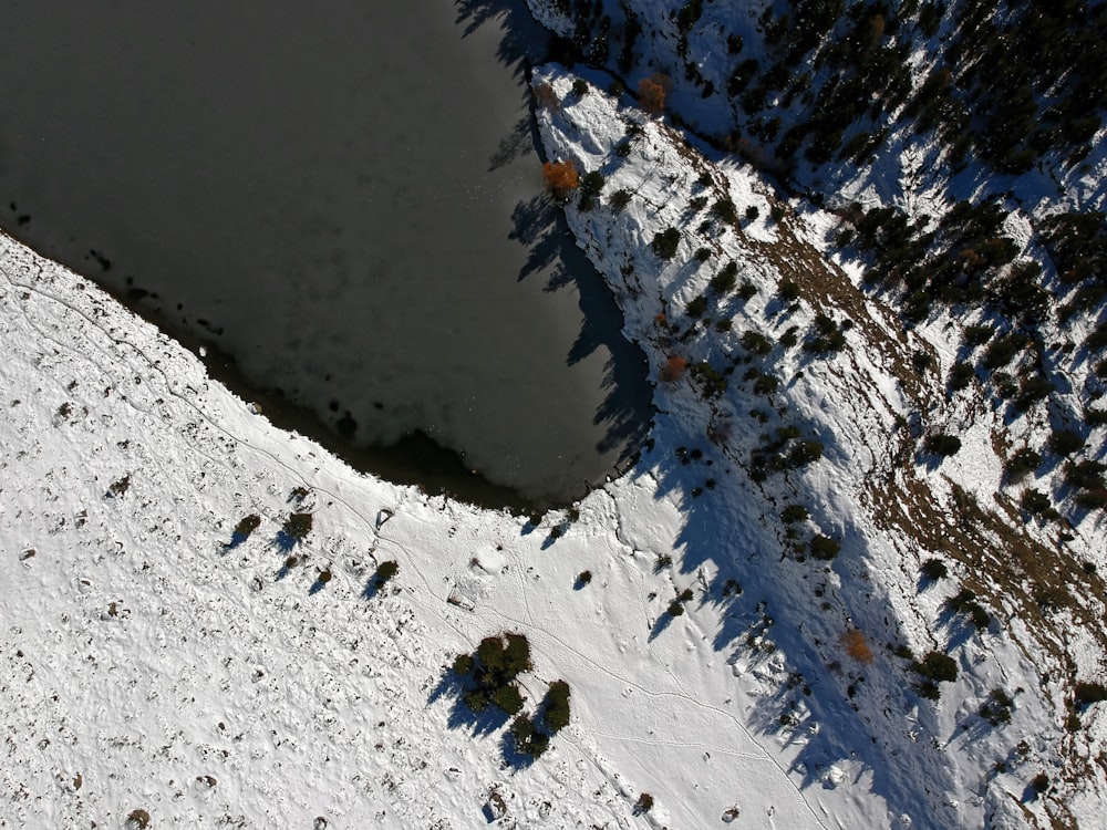 aerial photography of snow covered ground with trees